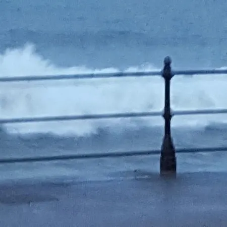 Sheridan Scarborough