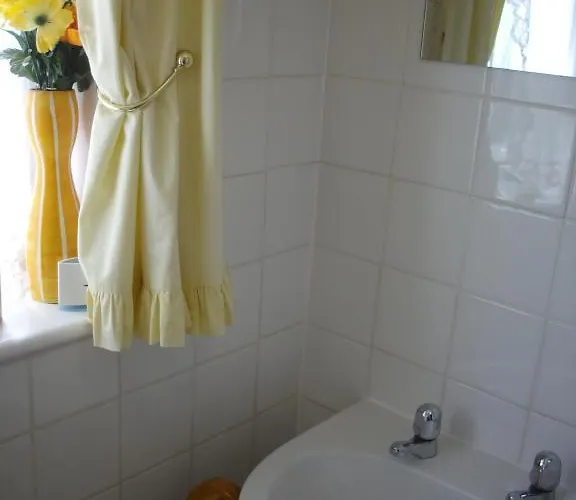 Sheridan Scarborough