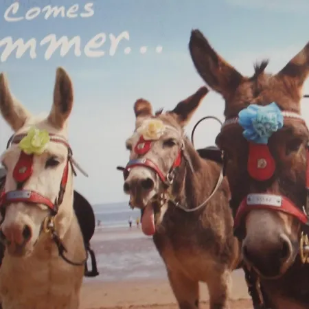 بيت ضيافة Sheridan سكرابورو